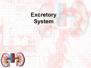 Excretory System Excretion Excretion is the process by