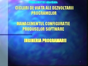 PROBLEMATICI abordate CICLURI DE VIATA ALE DEZVOLTARII PROGRAMELOR