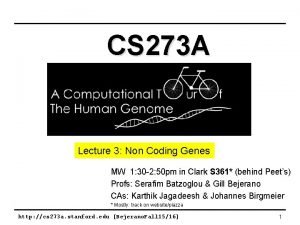 CS 273 A Lecture 3 Non Coding Genes