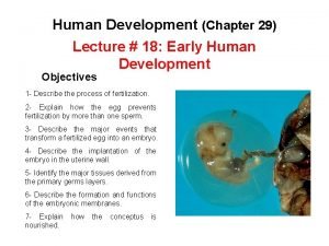 Figure 29-1 early human development