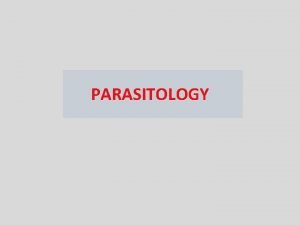 Sarcomastigophora characteristics