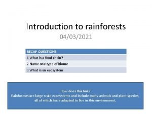 Rainforest locations