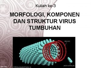 Kuliah ke3 MORFOLOGI KOMPONEN DAN STRUKTUR VIRUS TUMBUHAN