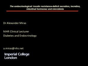 The endocrinological insulin resistancedeficit secretion incretins intestinal hormones