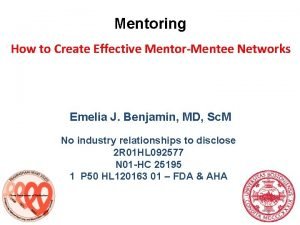 Mentoring How to Create Effective MentorMentee Networks Emelia