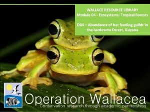 WALLACE RESOURCE LIBRARY Module 04 Ecosystems Tropical Forests