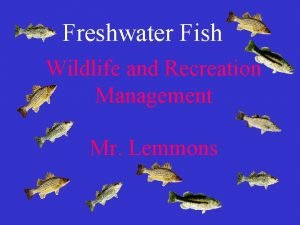 Freshwater Fish Wildlife and Recreation Management Mr Lemmons