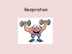 What is the word equation for respiration?