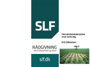 Nematodebekmpelse med sortsvalg Erik Mikkelsen Genudsendelse for kartoffelavlere