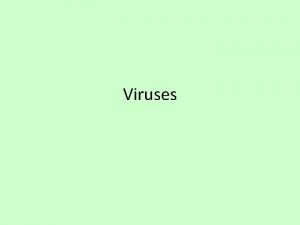 Viruses What is a virus A small infectious