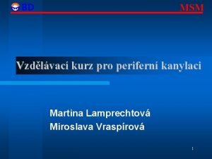 Martina lamprechtová