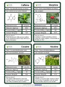 Morphine Caffeine Plant Tea Camellia sinensis and others