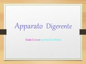 Apparato Digerente Giada Cocca e Lucrezia Scicchitano FUNZIONI