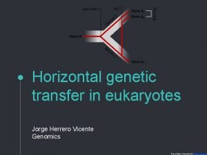 Horizontal genetic transfer in eukaryotes Jorge Herrero Vicente