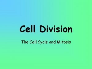 Cell Division The Cell Cycle and Mitosis Why