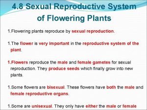 Plants reproductive system