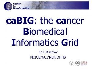 ca BIG the cancer Biomedical Informatics Grid Ken