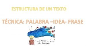 Palabra-idea-frase ejemplo