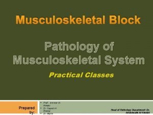 Musculoskeletal
