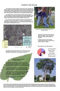 Cortland Tree Survey The Cortland Tree Survey project