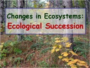 Changes in Ecosystems Ecological Succession What is Ecological