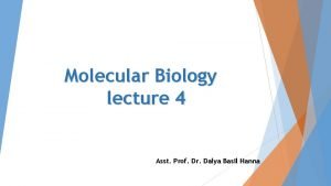 Molecular Biology lecture 4 Asst Prof Dr Dalya