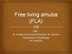 Free living amuba FLA Oleh dr Inneke Kusumawati