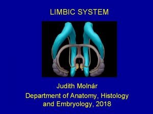 LIMBIC SYSTEM Judith Molnr Department of Anatomy Histology