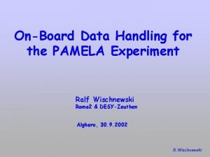 Pamela ralf Pamela ralf