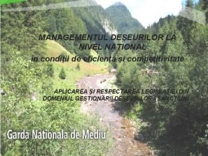 MANAGEMENTUL DEEURILOR LA NIVEL NAIONAL n condiii de