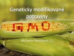 Geneticky modifikovan potraviny Michaela Gdoiov III L o