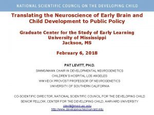 Translating the Neuroscience of Early Brain and Child