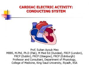 CARDIAC ELECTRIC ACTIVITY CONDUCTING SYSTEM Prof Sultan Ayoub