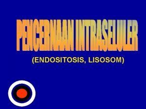 ENDOSITOSIS LISOSOM PENCERNAAN DIGESTION Substrat Bahan enzim Organ