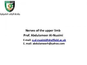 Lateral cutaneous nerve of forearm Lateral cutaneous nerve of forearm