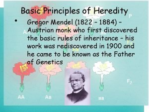 Basic Principles of Heredity Gregor Mendel 1822 1884