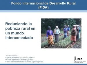 Fondo Internacional de Desarrollo Rural FIDA Reduciendo la