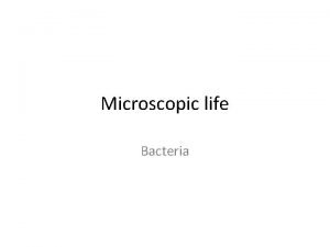 Microscopic life Bacteria Bacteria Simple cells Membrane surround