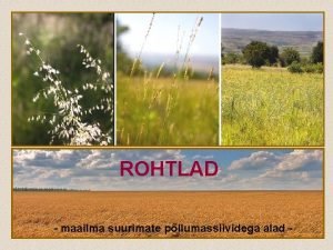 ROHTLAD maailma suurimate pllumassiividega alad ASEND Ungaris Pusta