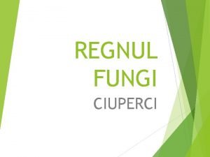 Regnul fungi mediul de viata