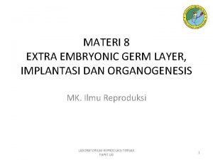 Extraembryonic mesoderm
