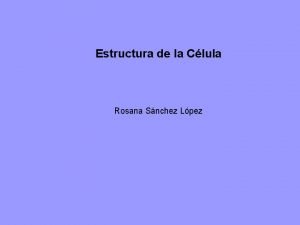 Estructura de la Clula Rosana Snchez Lpez La