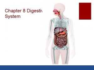 Chapter 8 digestive system