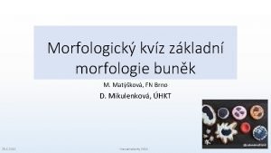 Morfologick kvz zkladn morfologie bunk M Matkov FN