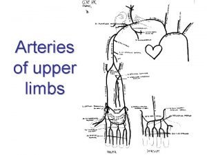 Arteries of upper limbs Arteria axillaris origin from