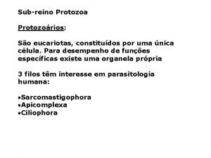 Subreino Protozoa Protozorios So eucariotas constitudos por uma