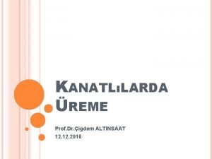 KANATLLARDA REME Prof Dr idem ALTINSAAT 12 2016