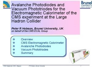 Avalanche Photodiodes and Vacuum Phototriodes for the Electromagnetic