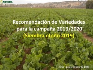 Recomendacin de Variedades para la campaa 20192020 Siembra