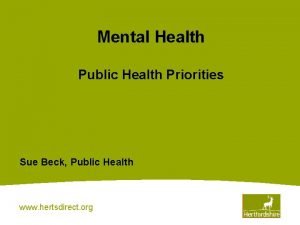 Mental Health Public Health Priorities Sue Beck Public